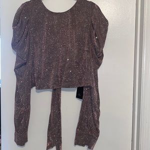 SHEIN SXY glitter top size 3x